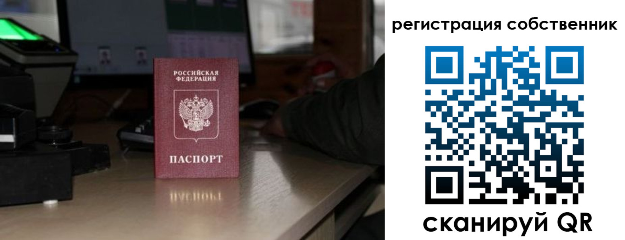 прописка поиск в Гатчине
